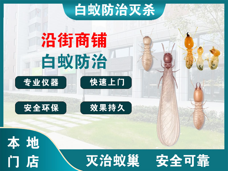 慈溪沿街商铺白蚁防治