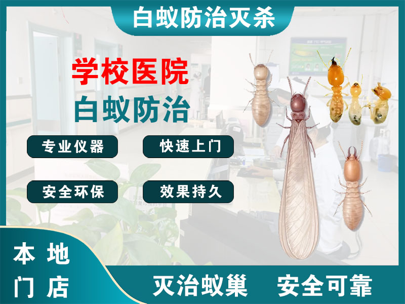 慈溪学校医院白蚁防治