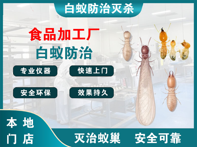 慈溪食品加工厂白蚁防治
