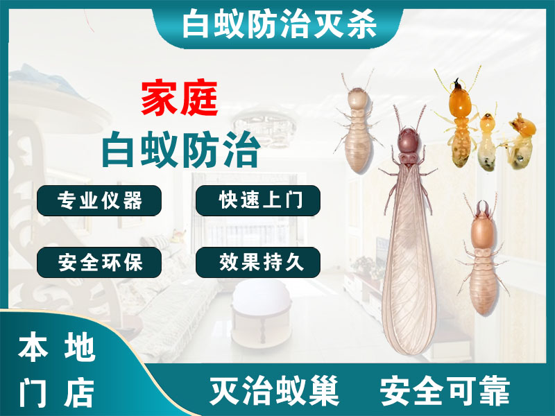 慈溪家庭白蚁防治