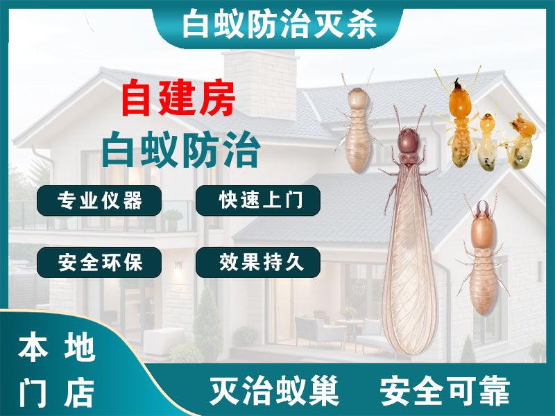 慈溪自建房白蚁防治
