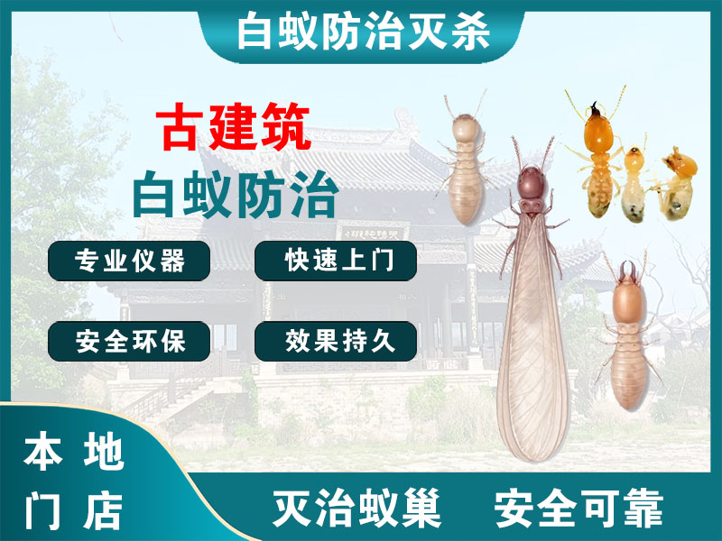 慈溪古建筑白蚁防治