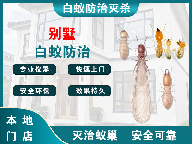 慈溪别墅白蚁防治